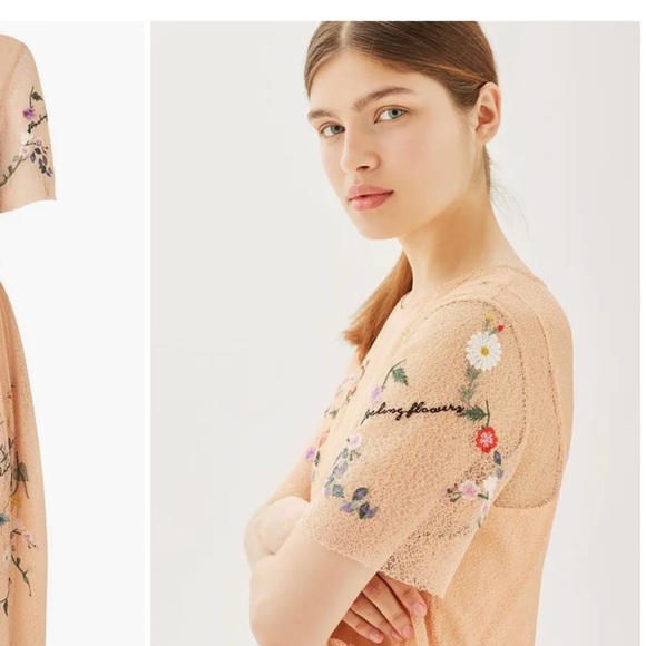 TOPSHOP Women’s Embroidered Mesh Floral Peach Short Sleeve Midi Dress Size 4 - Picture 4 of 17
